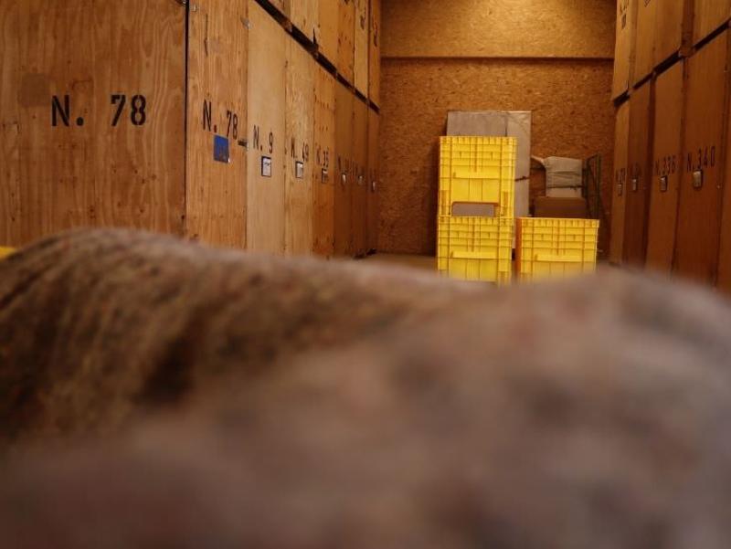 Umzugsgut transportieren